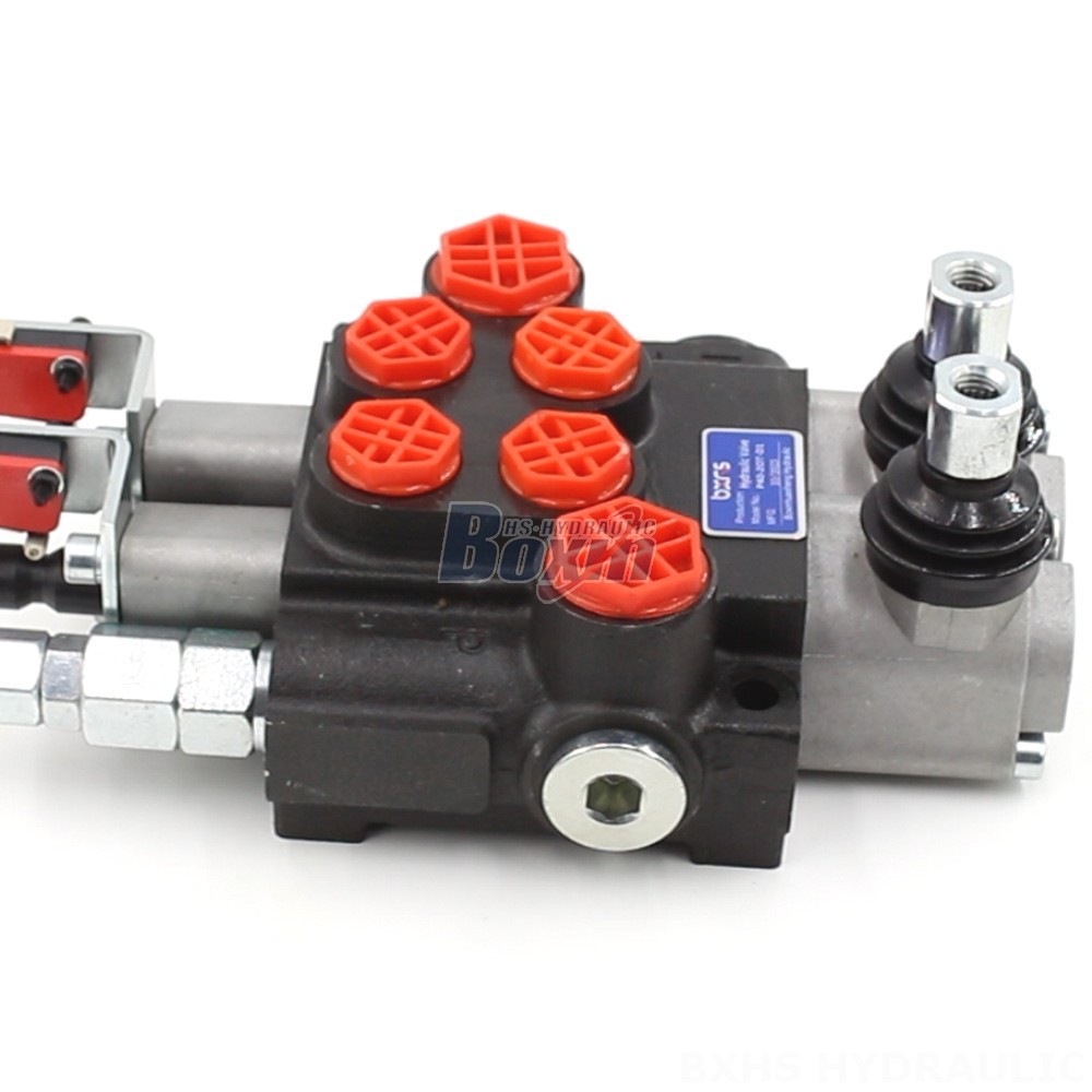 Custom Hydraulic Solutions: Design & Manufacture P40 Valves to Your Specifications cover photo